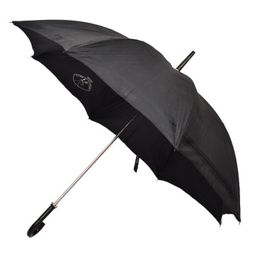 buy small umbrella online